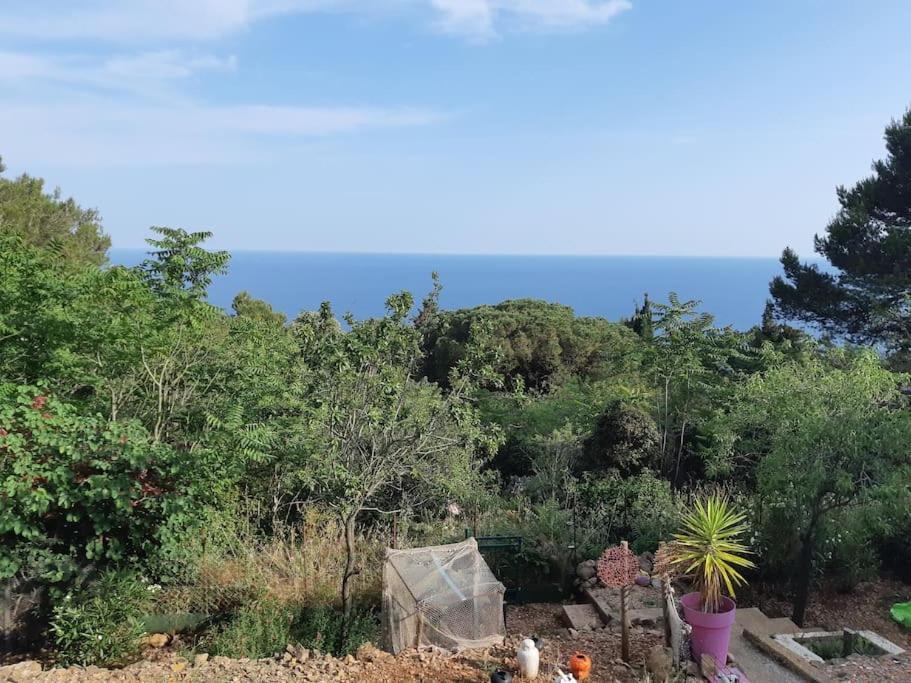 De Au Mont St Clair Vue Exceptionnelle Et Foret Terrasses, Piscine, Petanque, Solarium Prives Apartment Sete