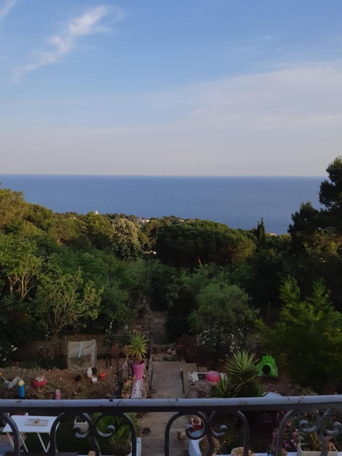 De Au Mont St Clair Vue Exceptionnelle Et Foret Terrasses, Piscine, Petanque, Solarium Prives Appartement