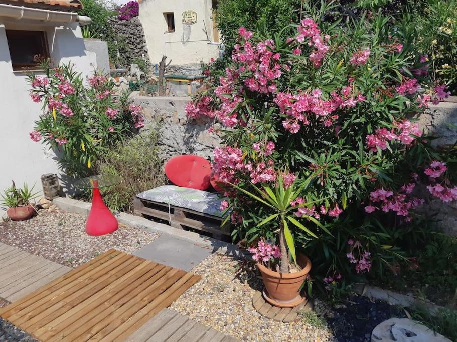 De Au Mont St Clair Vue Exceptionnelle Et Foret Terrasses, Piscine, Petanque, Solarium Prives Appartement *